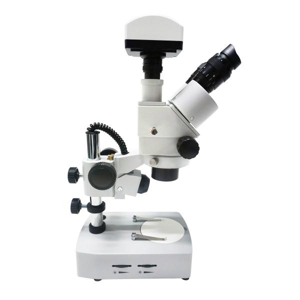 Microscopio estéreo
