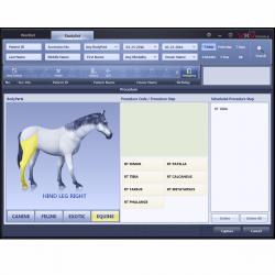 Digital portátil de rayos x veterinario