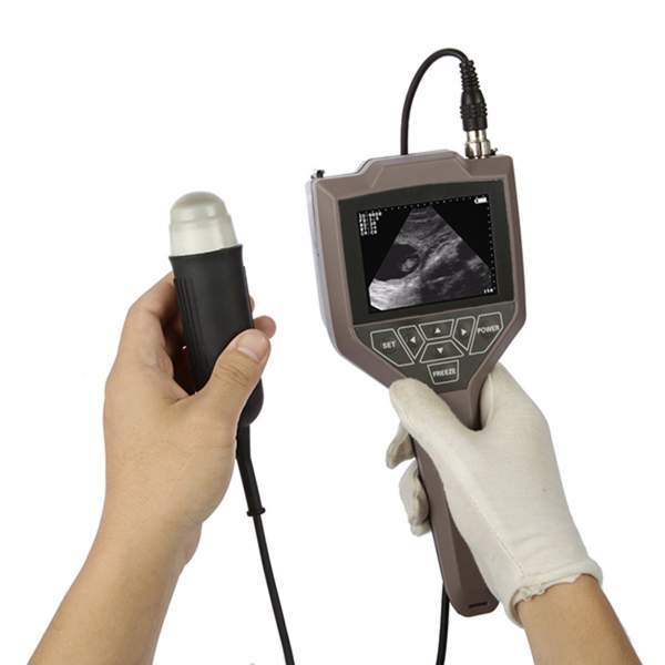 Ultrasonido Veterinario de Palma