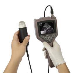 Ultrasonido Veterinario de Palma
