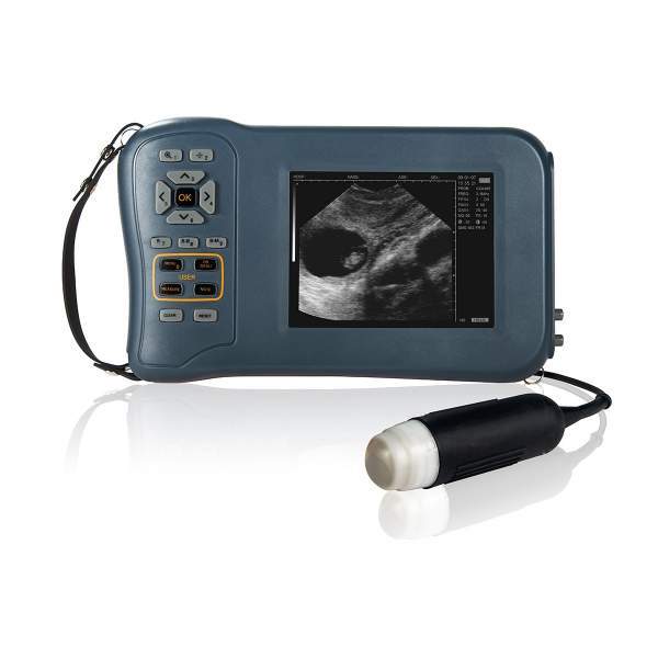Ultrasonido Veterinario Portátil