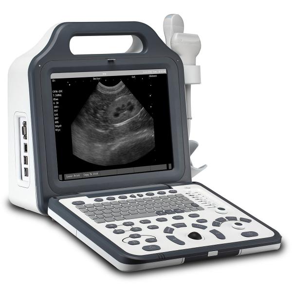 Veterinary Ultrasonido Veterinario Portátil